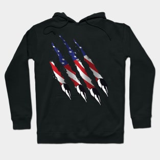 american shirt, bear shirt, american flag, gift t-shirt Hoodie